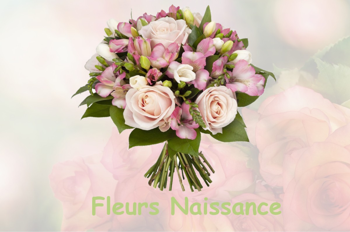 fleurs naissance BOUZY-LA-FORET