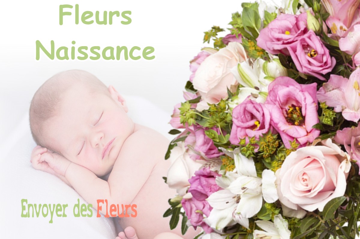 lIVRAISON FLEURS NAISSANCE à BOUZY-LA-FORET